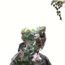 열병의 방 이미지