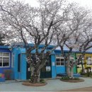 애월초등학교 병설유치원 이미지