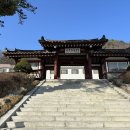 [춘천] 세종호텔 스탠다드 더블룸 1박 상세한 후기
