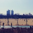 보라매 행정사 이미지