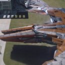 펫 가디언 이미지