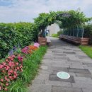 세종시 조치원청사 이미지