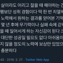 티엠(TM) 이미지