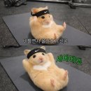 고꼬로오뎅 | 봄이 언제 올까요? 26년도 3월의 일상, 첫번째