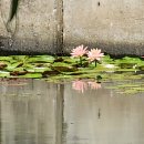 퀘렌시아 이미지