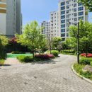 밤고개로21길 이미지