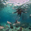 도깨비당구장 이미지