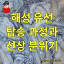 해성2호좌대낚시터 | 인천 남항 낚시: 해성 유선 쭈꾸미 낚시 체험 후기