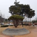 흑두루미공원 주차장 화장실 이미지