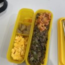 화,목 굿모닝 요가 | [뉴질인턴 D+118] 요가 시작!