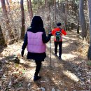 마검포해수욕장 이미지