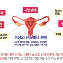 앤여성건강 네이버블로그