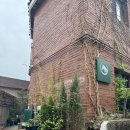 리케이온 | 영도 식물카페 리케이온 솔직 후기