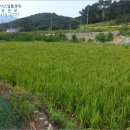하천1리 경로당 이미지