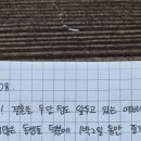 스테이 누누 이미지