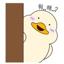 그림은역시그림쌤