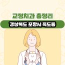 죽파치과의원 | 경상북도 포항시 죽도동 교정치과 총정리