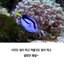 힐링월드 이미지