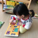 제로렉 이미지