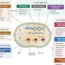 항생제 소염제 차이 / 그밖에 주의해야 할 점은 이미지