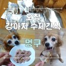 지연이네 강아지 고양이 수제간식 | 청주 애견 간식 오창 멍쿠 강아지 수제간식과 화식 솔직 후기