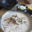충주 크림짬뽕 맛집 보배반점, 제갈가 내돈내산 후기