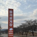 돌격꽃게장본점 | 대구 근교 간장게장 맛집 왜관 돌격꽃게장왜관본점 벚꽃나들이 후 들리면 좋을 가족외식장소