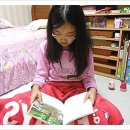 문화유산으로 배우는 우리 역사 이미지