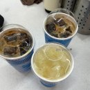 카페꽃내 | 영종도 카페구옥수수 한옥, 꽃, 고양이 내돈내산 후기