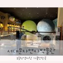 청소년수련원 야생화관 | 서울 서대문자연사박물관 초등학생 아이랑 가볼만한곳 관람정보 꿀팁