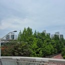 내정지하보도 입구 이미지