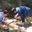 호접치자연팜 이미지