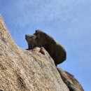 창포선 주차장 이미지