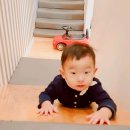 라퓨타오송키즈카페 이미지