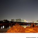 사노교