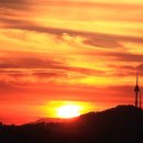 아라 일출 이미지