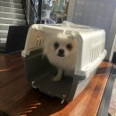 성덕한의원 이미지