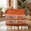 자운고 효능 총정리 — 한약학 전공생이 파헤친 성분·사용법·주의사항까지