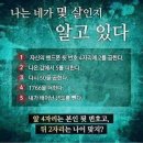 돋음 이미지