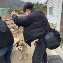 남일닭갈비 이미지