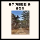 충주 가볼만한 충주 가볼만한곳 충주 가볼만한곳 베스트10 이미지