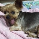 송선로-6 이미지