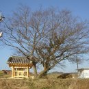 황산면 연당리 미륵불 이미지