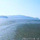 대부해솔길 2코스 이미지