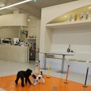 에르멍스 이미지