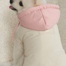 펫옷