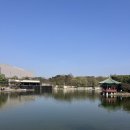 브레드온리 | 국립중앙박물관 방문 후기: 실내놀거리, 서울 아이랑 가볼만한 곳, 서울 데이트 장소