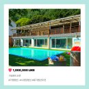 아일랜드코쿤 | 여름철 가평숙소추천, 아일랜드코쿤 풀빌라 다녀온 후기