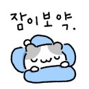말랑한하루