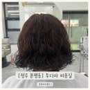 청주 분평동 미용실 투디아 세라부원장 젤리펌 후기